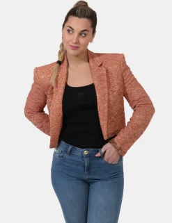 Giacca Pinko Marrone
