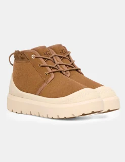 Stivale Ugg Marrone