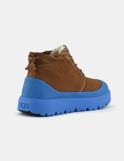 Stivale Ugg Marrone