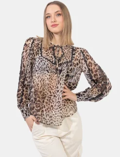 Top Guess Fantasia